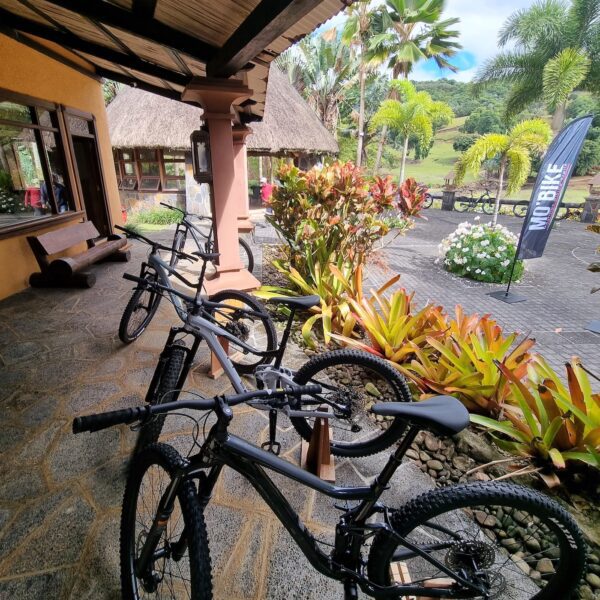 Photograph of Mo'Bike mountain bikes in front of the reception area