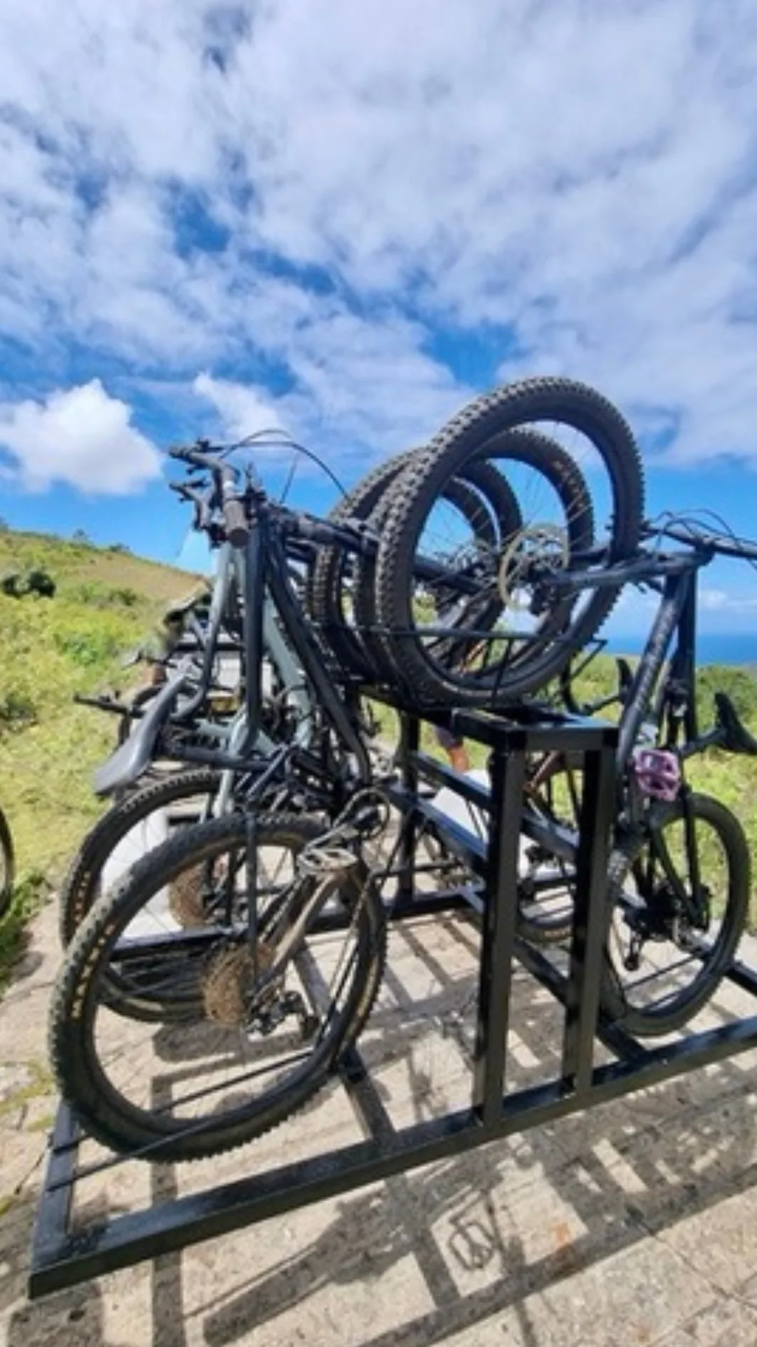 Mo'Bike — wildlife deer