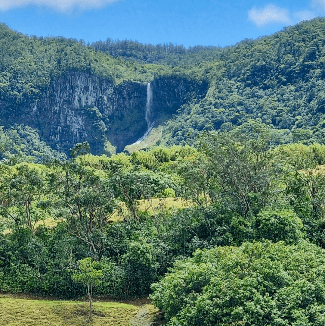 Mo'Bike trail bridge — southern Mauritius